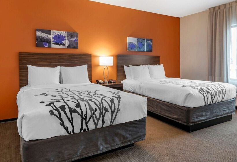 Люкс Адаптированный для Инвалидов, Sleep Inn & Suites Moab Near Arches National Park