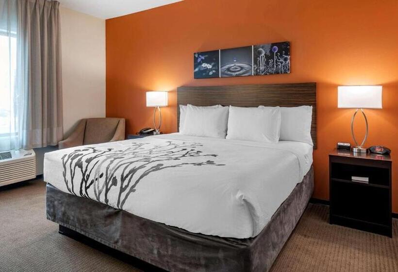 Стандартный Номер Кровать Кинг, Sleep Inn & Suites Moab Near Arches National Park