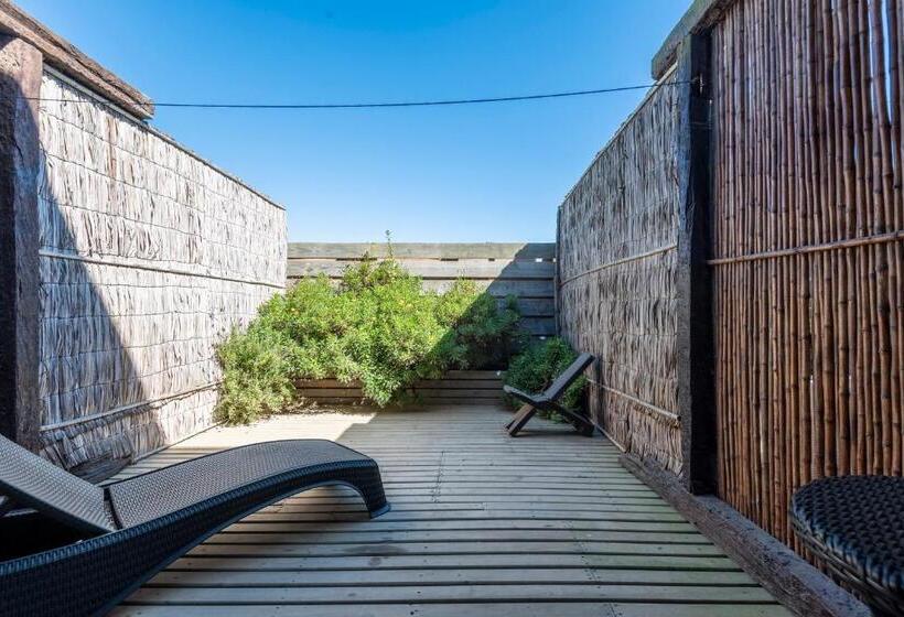 Апартаменты 1 Спальня, Pichilemu Apart