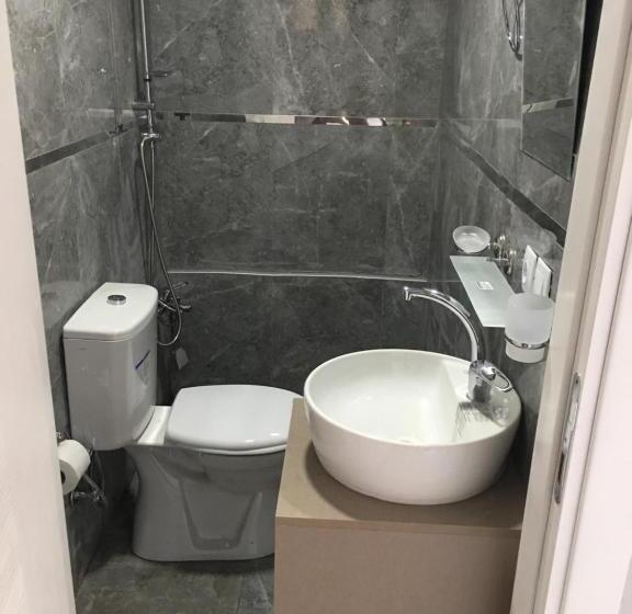 اتاق استاندارد, Asus Palmiye Otel