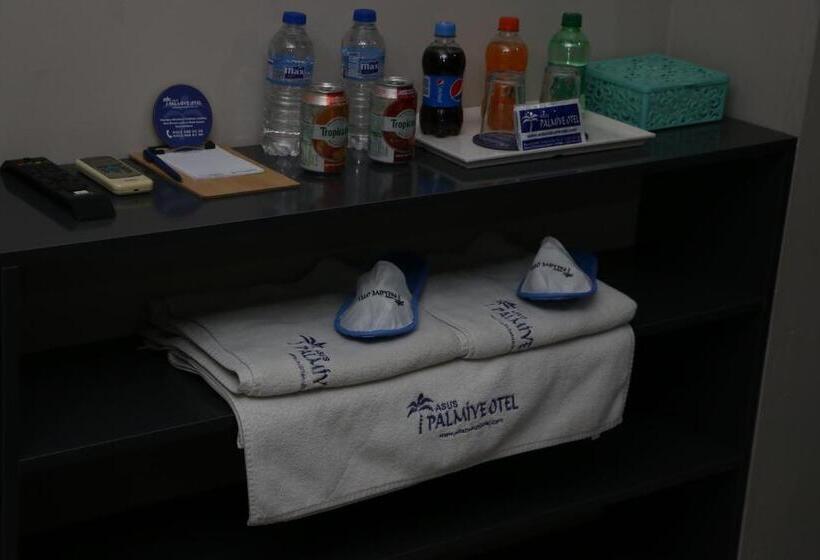 اتاق استاندارد, Asus Palmiye Otel