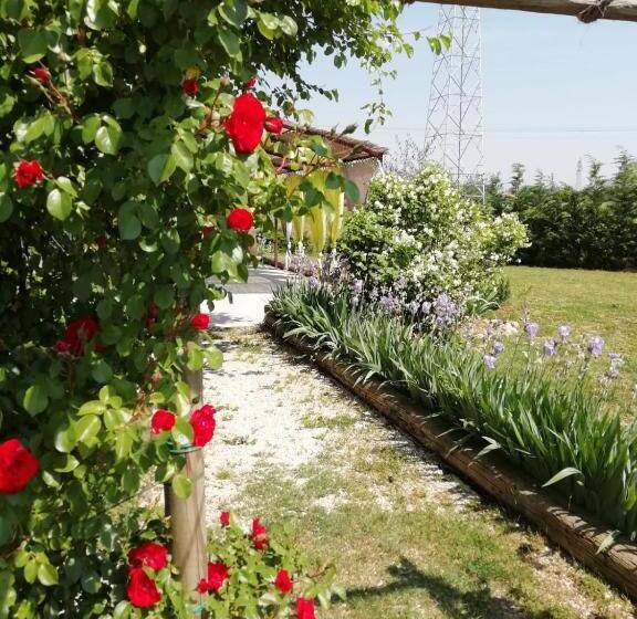 小型豪华套房, Ca' Blanca