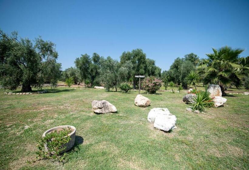 اتاق استاندارد با تخت بزرگ, Coppola Rossa Relax