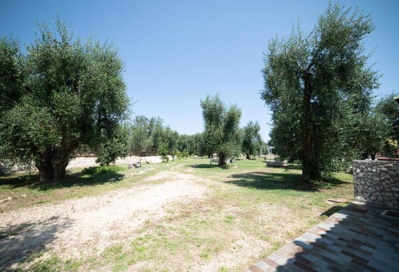 اتاق استاندارد با تخت بزرگ, Coppola Rossa Relax