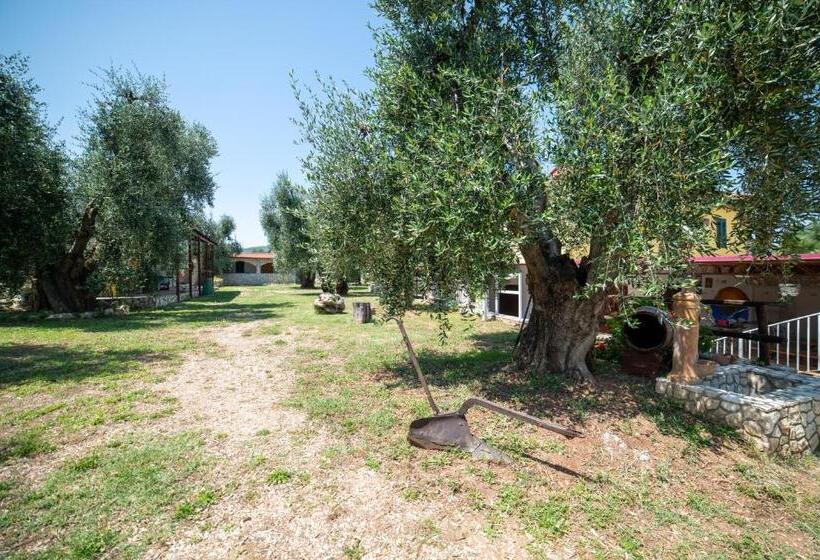 اتاق کلاسیک چهارنفره, Coppola Rossa Relax