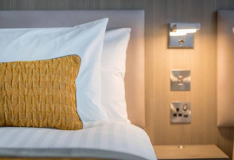 싱글 디럭스 룸, Maldron Hotel Kevin Street, Dublin City