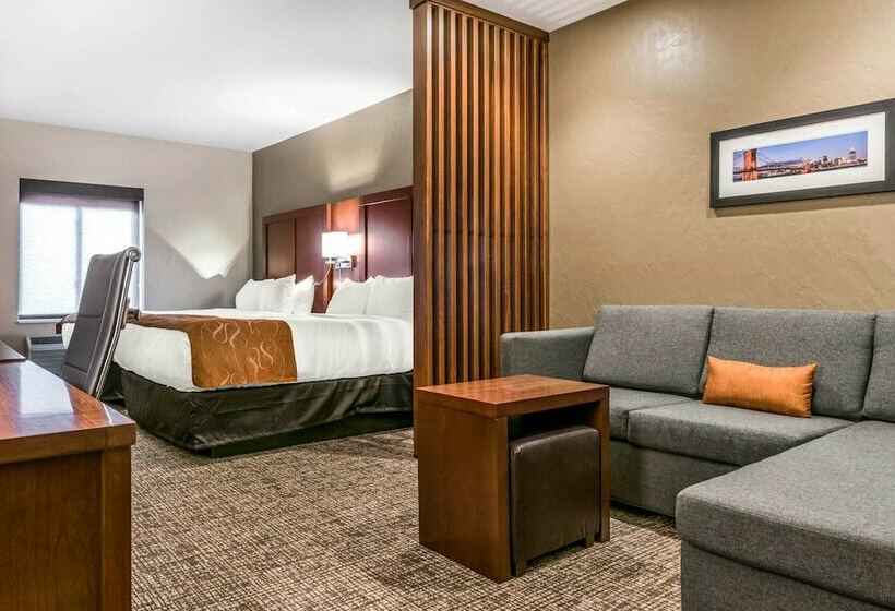 스위트, Comfort Suites Florence  Cincinnati South