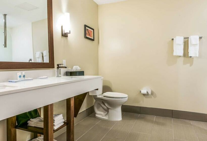 스위트, Comfort Suites Florence  Cincinnati South