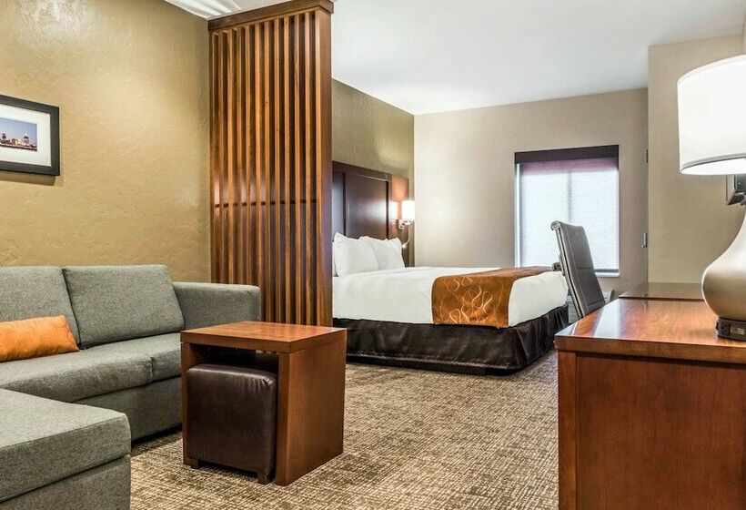 스위트, Comfort Suites Florence  Cincinnati South