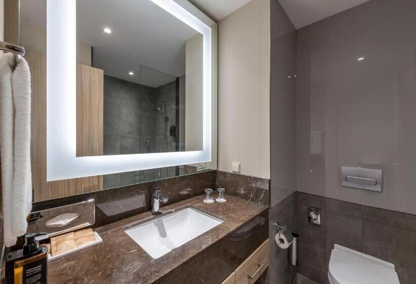 اتاق استاندارد, Tbilisi Saburtalo Hotel By Mercure