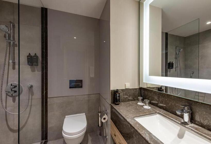 اتاق استاندارد, Tbilisi Saburtalo Hotel By Mercure