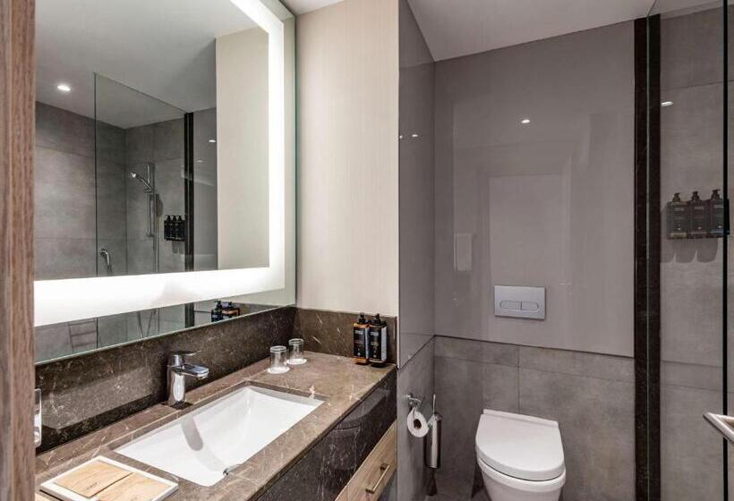 اتاق سوپریور, Tbilisi Saburtalo Hotel By Mercure
