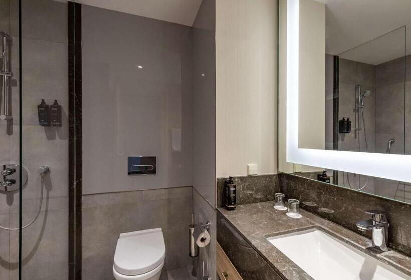 اتاق استاندارد, Tbilisi Saburtalo Hotel By Mercure