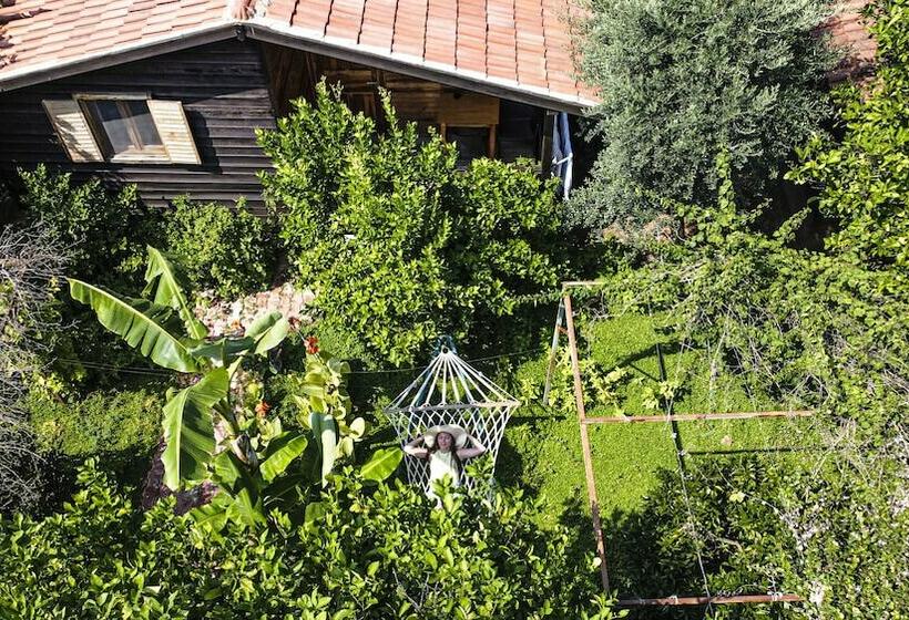 Family Suite, Lemon Garden Lodge