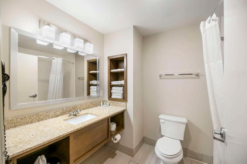 Стандартный Номер Кровать Кинг, Quality Inn & Suites Carlsbad Caverns Area