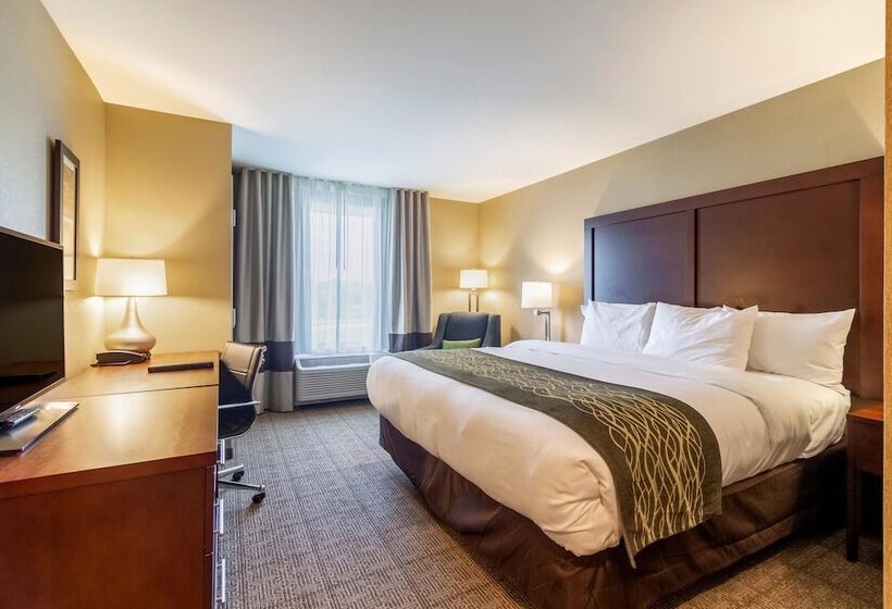 套房, Comfort Inn & Suites – Harrisburg Airport – Hershey South