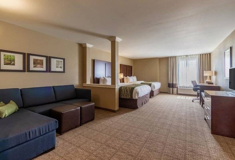 套房, Comfort Inn & Suites – Harrisburg Airport – Hershey South
