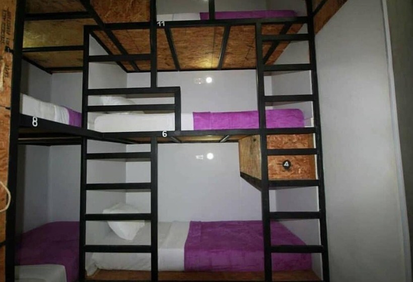 공동 객실, Hostel La Antigua Capsula