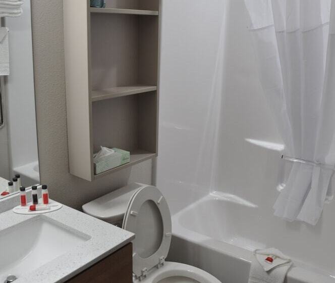 商务房间, Microtel Inn & Suites By Wyndham Lubbock