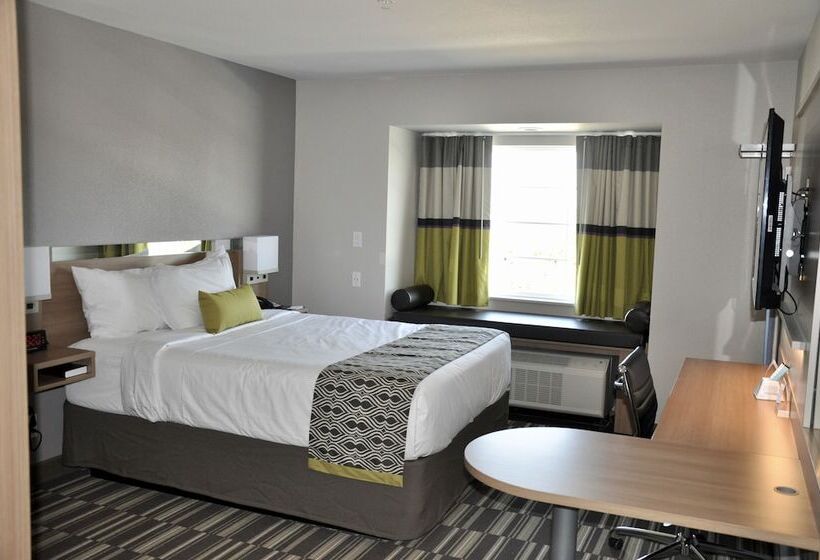 商务房间, Microtel Inn & Suites By Wyndham Lubbock