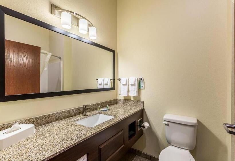 디럭스 스튜디오, Cobblestone Hotel & Suites Hartford