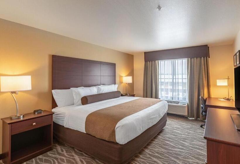 デラックススタジオ, Cobblestone Hotel & Suites Hartford