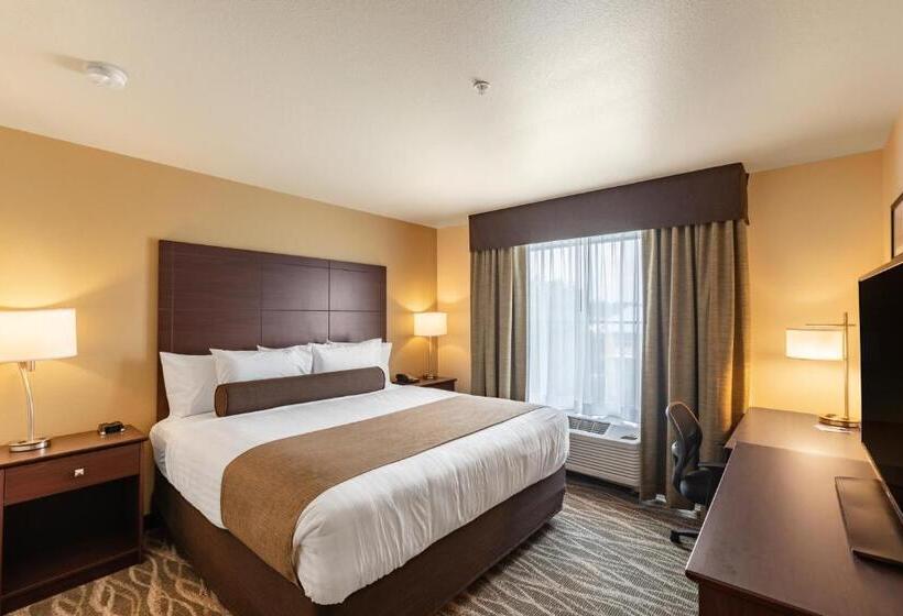 身障者適用キングサイズベッドルーム, Cobblestone Hotel & Suites Hartford