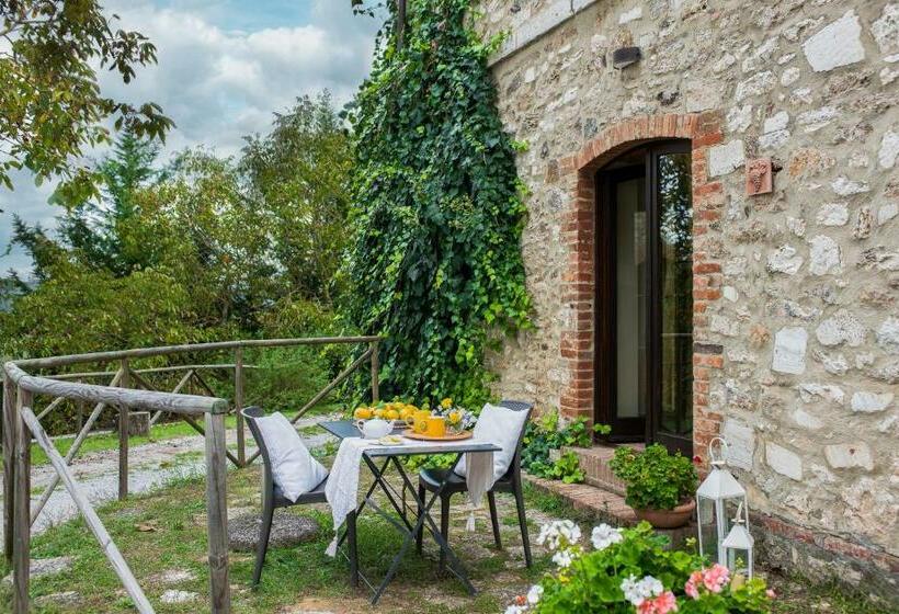 Апартаменты 1 Спальня, Podere Sant Alessandro