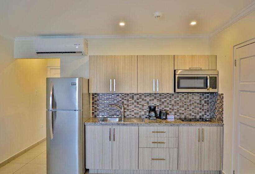 آپارتمان 1 خوابه با بالکن, Pearl Aruba Condos