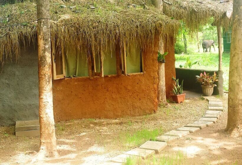 ویلای لوکس 1 خوابه, Greenwood Udawalawa Safari Resort