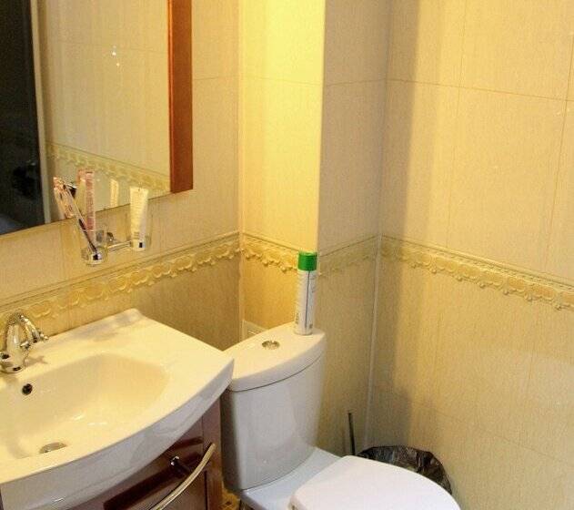Номер Deluxe, Diadema Sheremetyevo Guest House