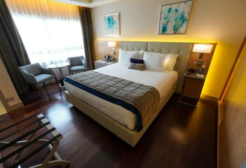 اتاق سوپریور با تخت بزرگ, Palladio Hotel Buenos Aires   Mgallery