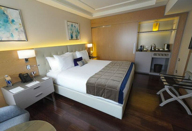 اتاق سوپریور, Palladio Hotel Buenos Aires   Mgallery