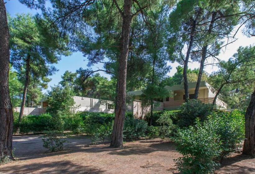 Трехместный Номер Премиум, Club Agia Anna