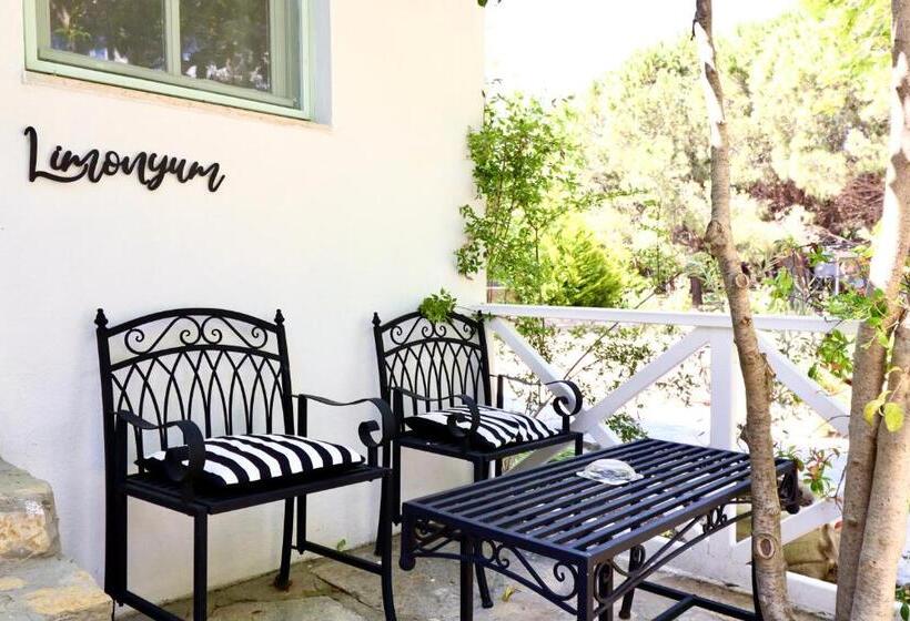 اتاق استاندارد با چشمانداز باغ, Kemerbag 29   Adults Only