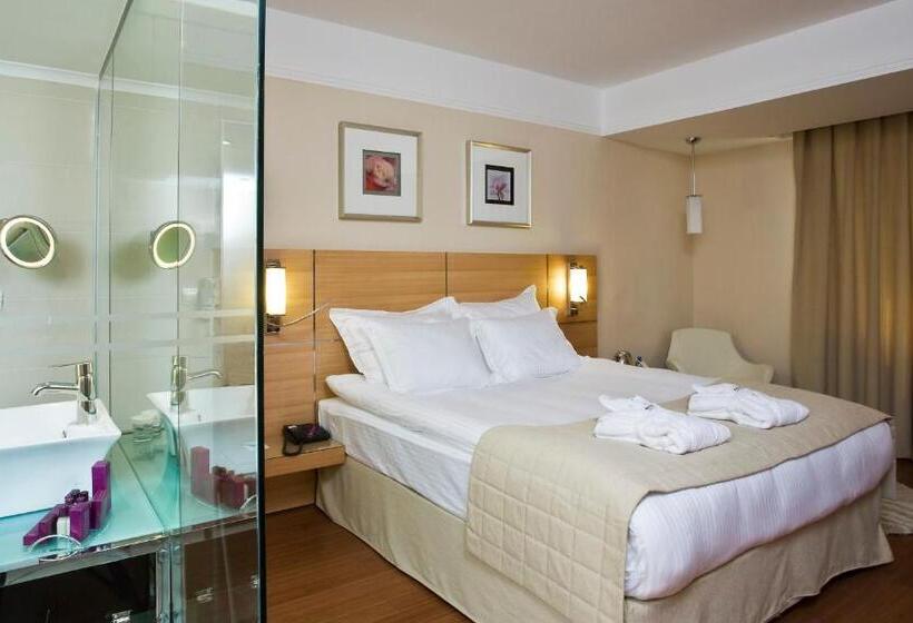 スタンダードルーム, Jura Hotels Afyon Thermal
