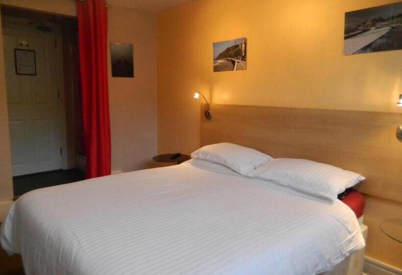 스탠다드 룸, Llwynygog Guest House