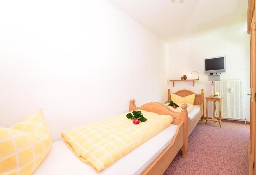 Апартаменты Комфорт 1 Спальня, Familienhotel Kleinwalsertal