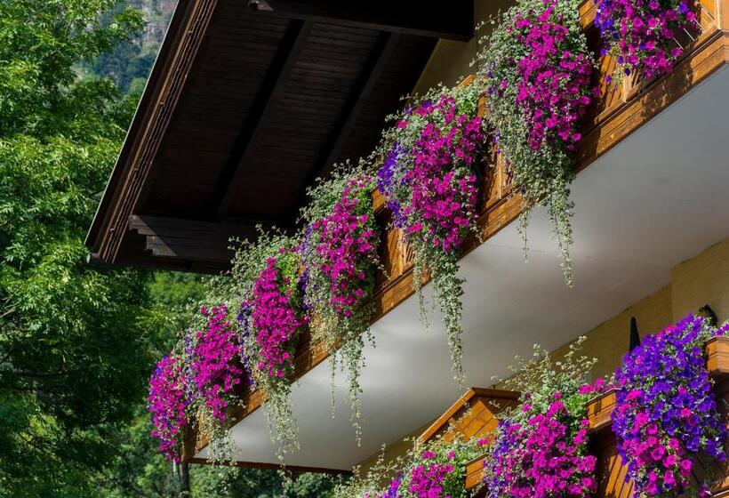 패밀리 아파트, Pension Appartements Kirchenwirt