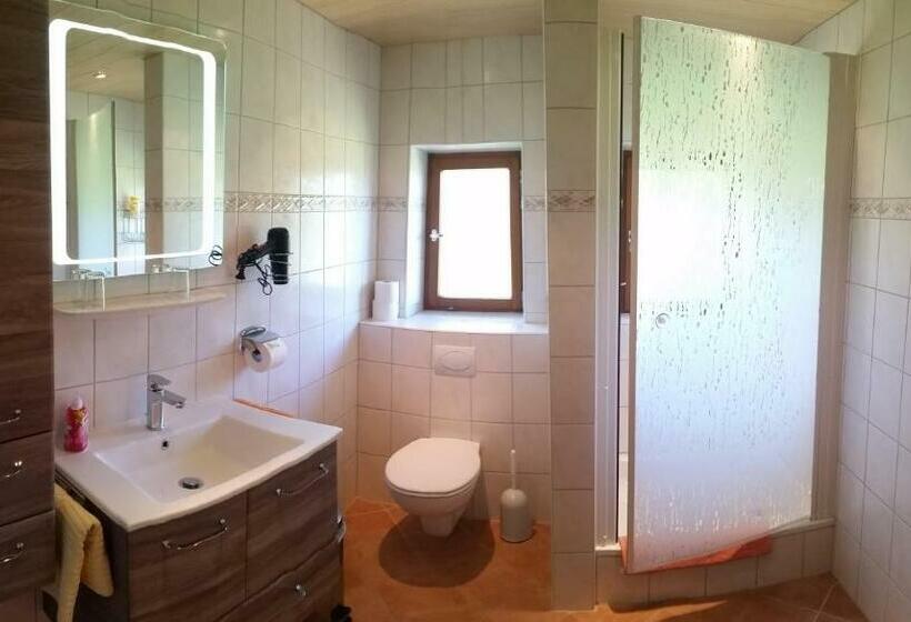 إستوديو قياسى, Appartements Hochödlehen