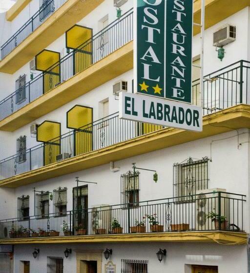 Одноместный Номер Basic, Hostal El Labrador