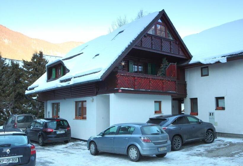استودیوی استاندارد, Apartments And Rooms Bernik