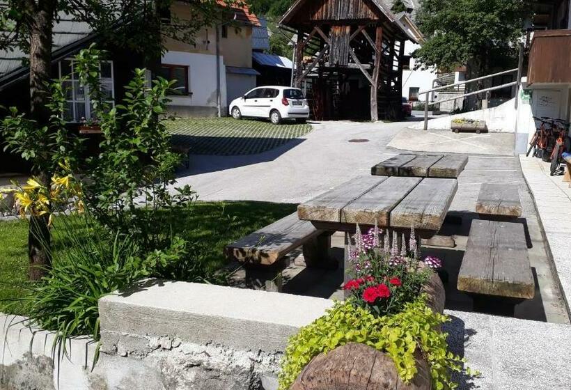 اتاق استاندارد با سرویس بهداشتی مشترک, Apartments & Hostel Bohinj