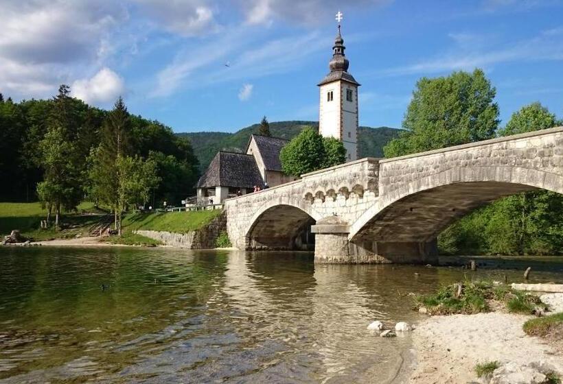 اتاق استاندارد با سرویس بهداشتی مشترک, Apartments & Hostel Bohinj