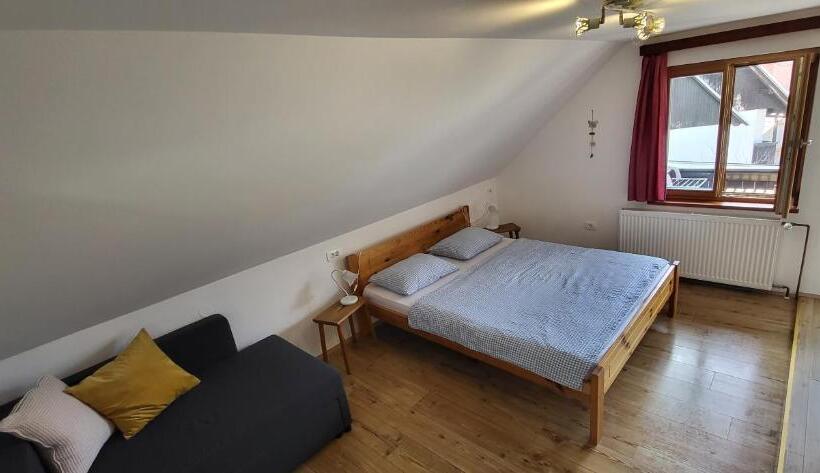 آپارتمان 1 خوابه با چشم‌انداز, Apartments & Hostel Bohinj