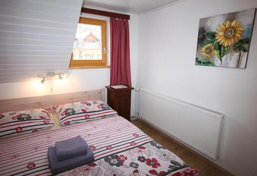اتاق خانوادگی با سرویس بهداشتی مشترک, Apartments & Hostel Bohinj