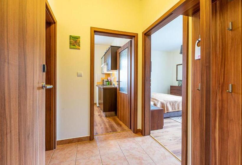 Апартаменты Superior 1 Спальня, Villa Walir   Spa Hotel Garni Superior