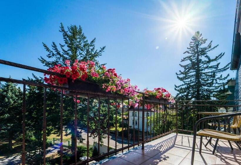 Апартаменты Deluxe 1 Спальня, Villa Walir   Spa Hotel Garni Superior