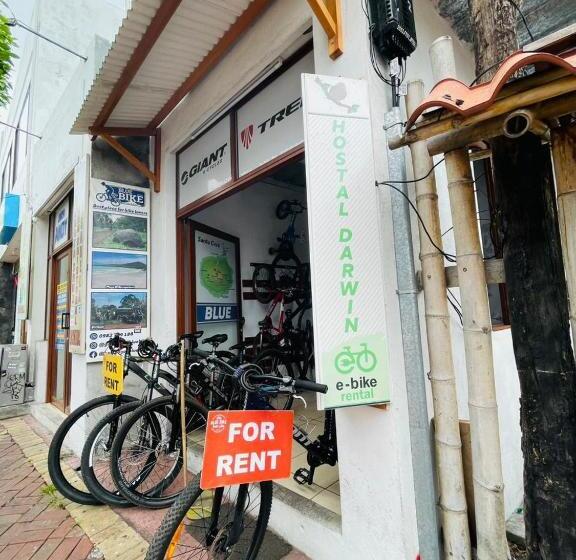 Номер Стандарт, Hostal Darwin B&b