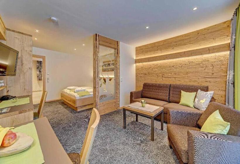 Апартаменты Комфорт 1 Спальня, Appart Hotel Wildererstuben